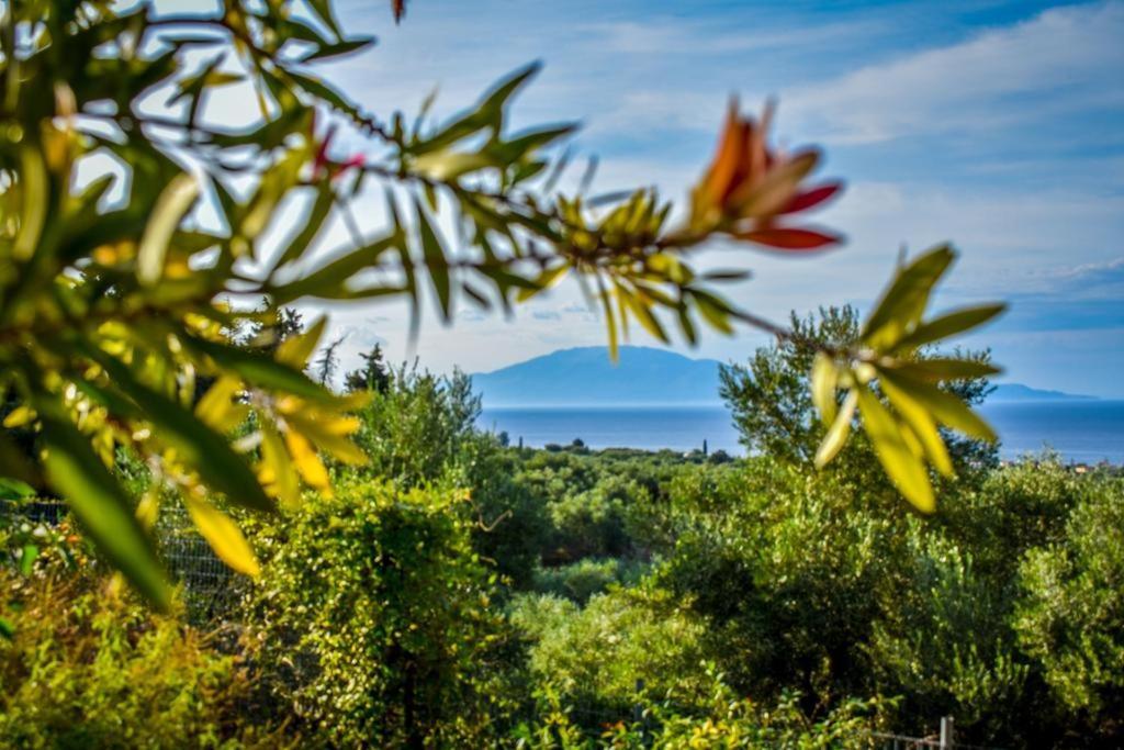 Dream View * Kypseli