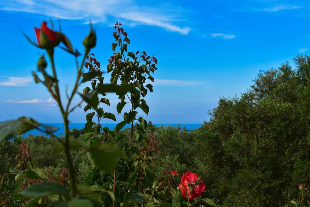 Dream View * Kypseli