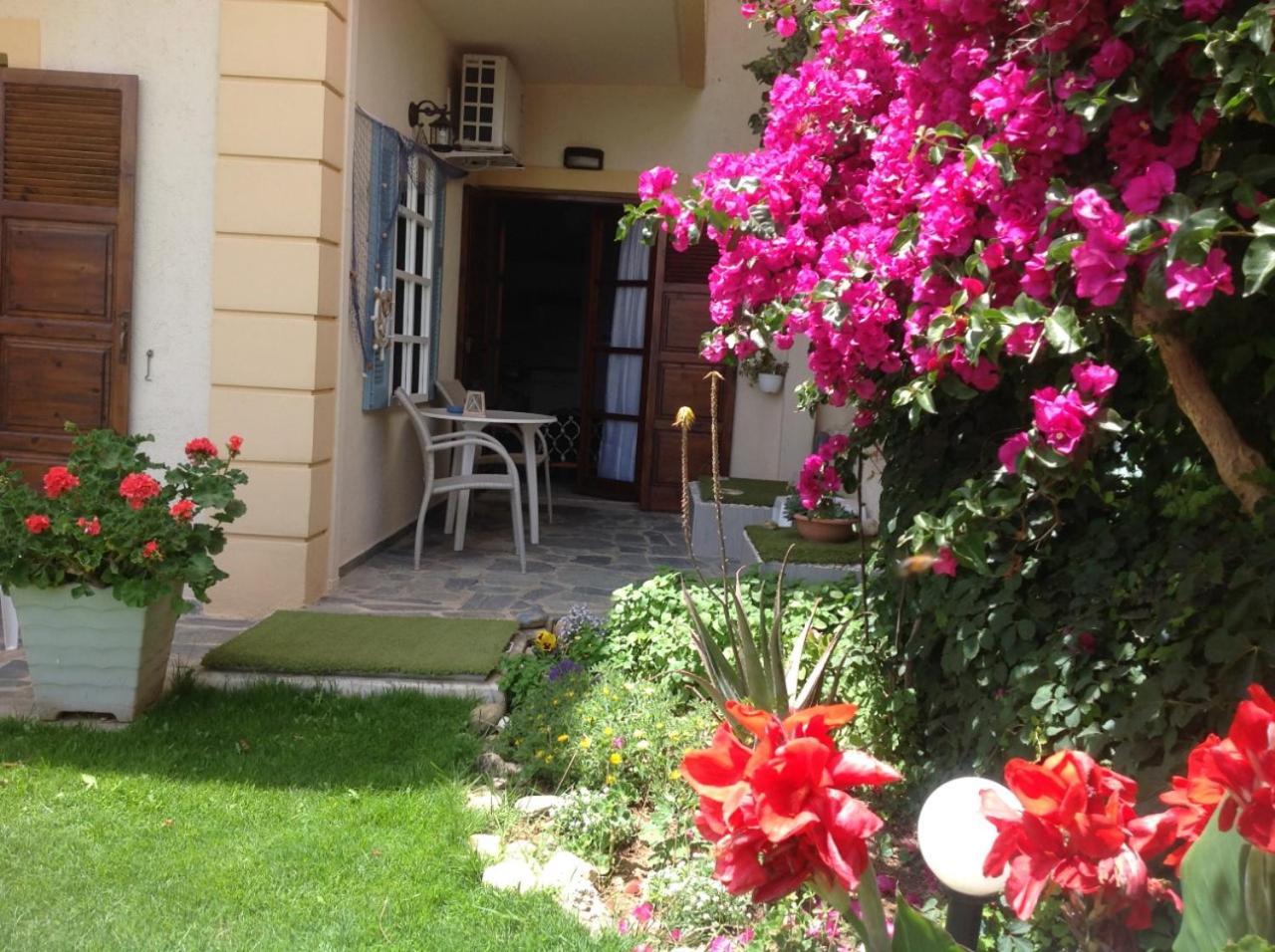 Apartment Asterias Studios &
