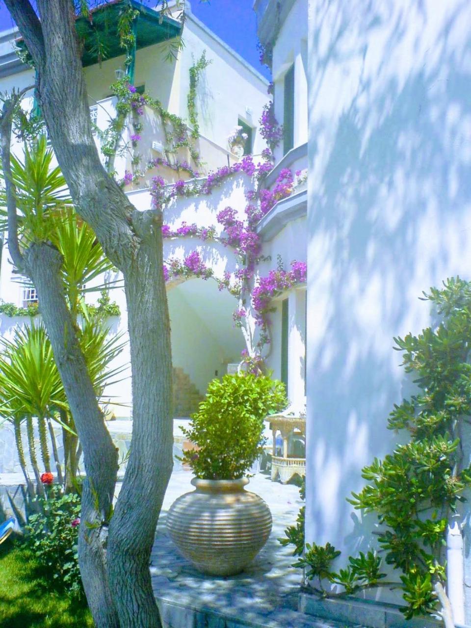 Aquarius Exclusive - Breakfast And Meal Included Aparthotel 3*