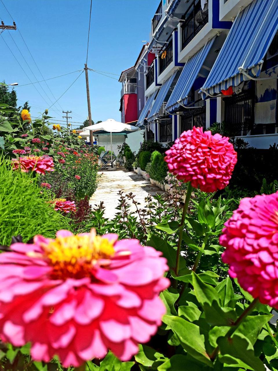 Zante Dahlia 3* Laganas