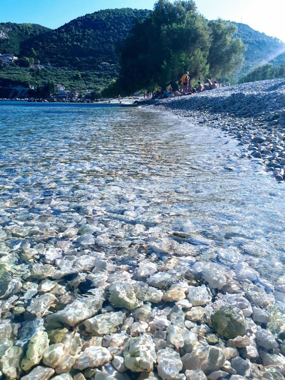 Zante Dahlia Hotel Laganas