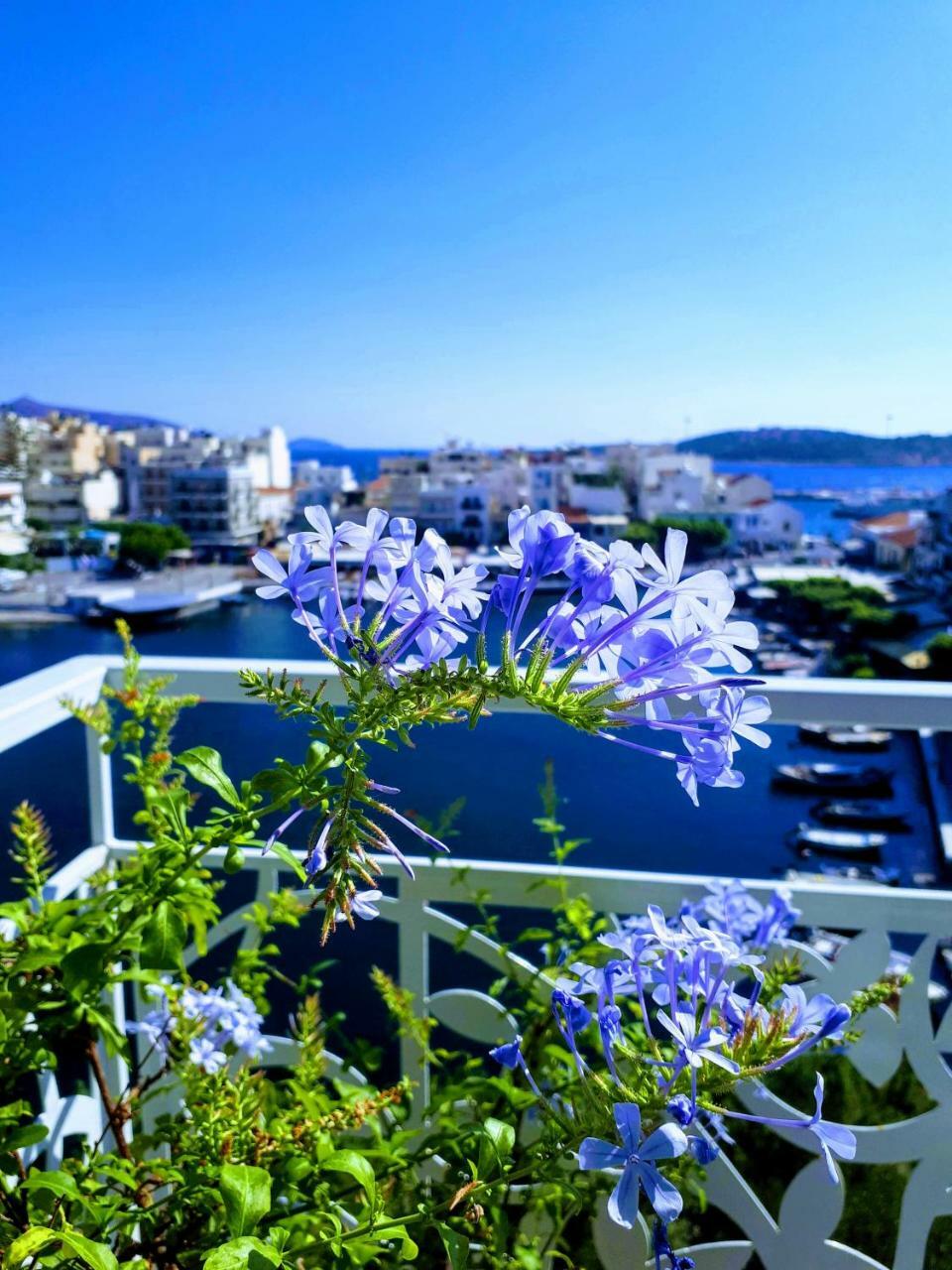 Emerald Apartment *