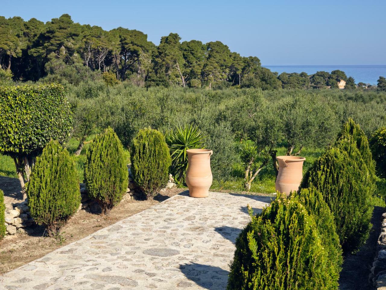 Villaggio & * Vasilikos (Zakynthos)