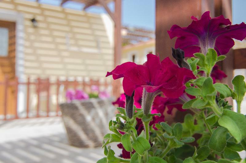 Smaragdi 3* Perivolos (Santorini)