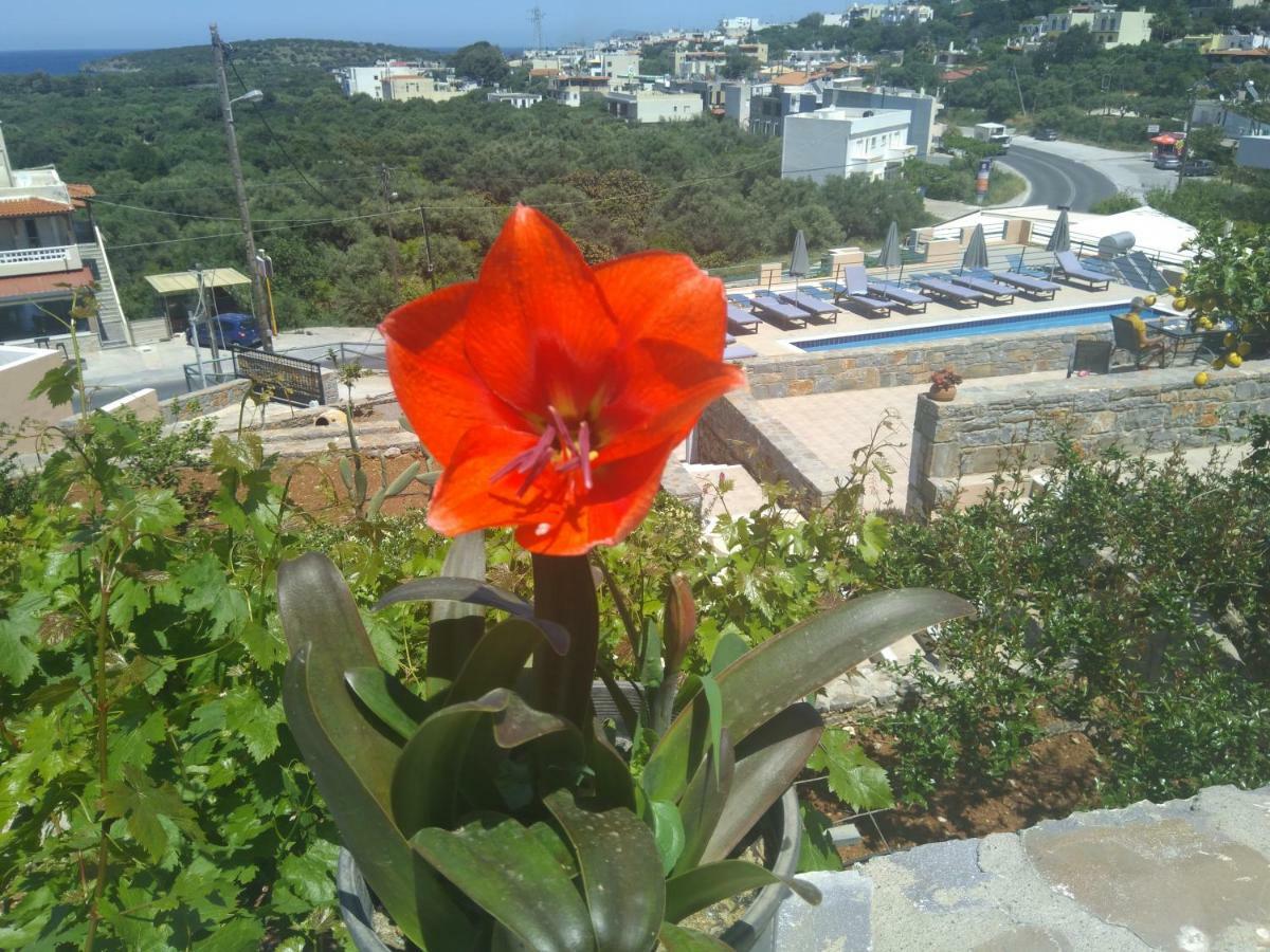 Kavousanos