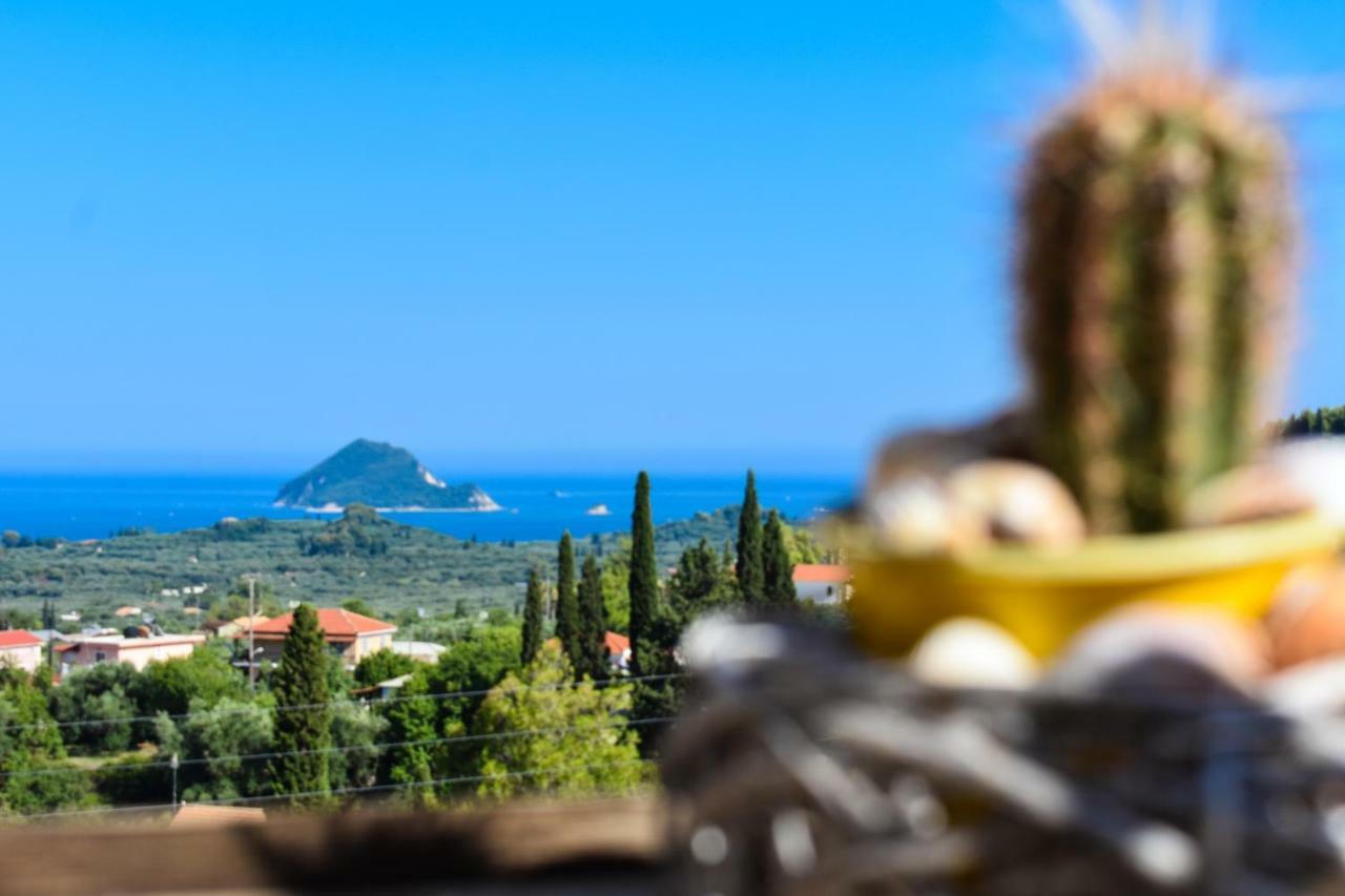 Mayra Holiday home Lithakia (Zakynthos)