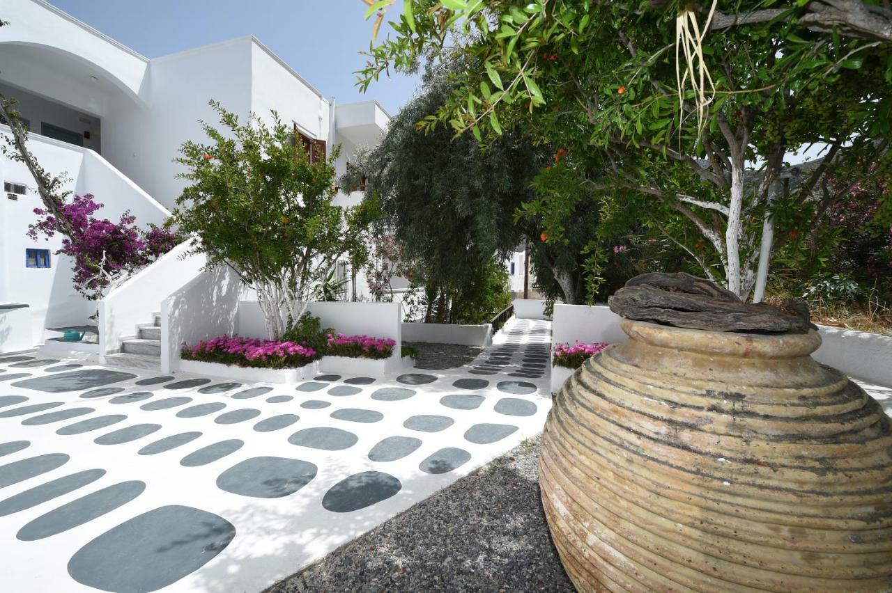 Sunflower 3* Kamari (Santorini)