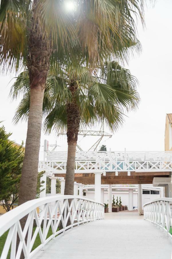 Aparthotel Olive Grove Beachfront & Seaview (adults Only) 3*