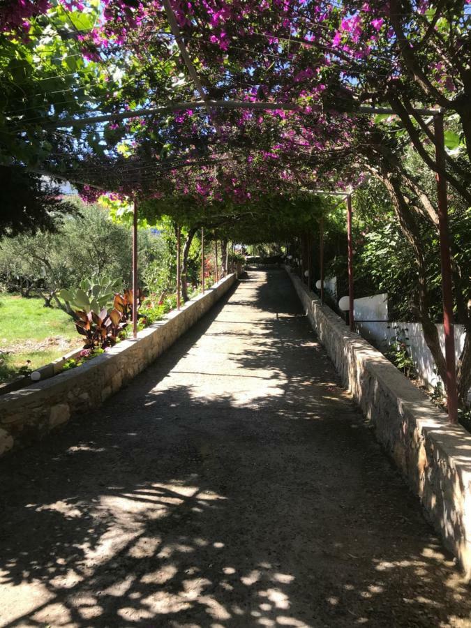 Aparthotel Knossos