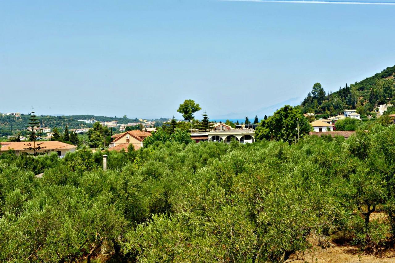Studios Dimitris Giatras *