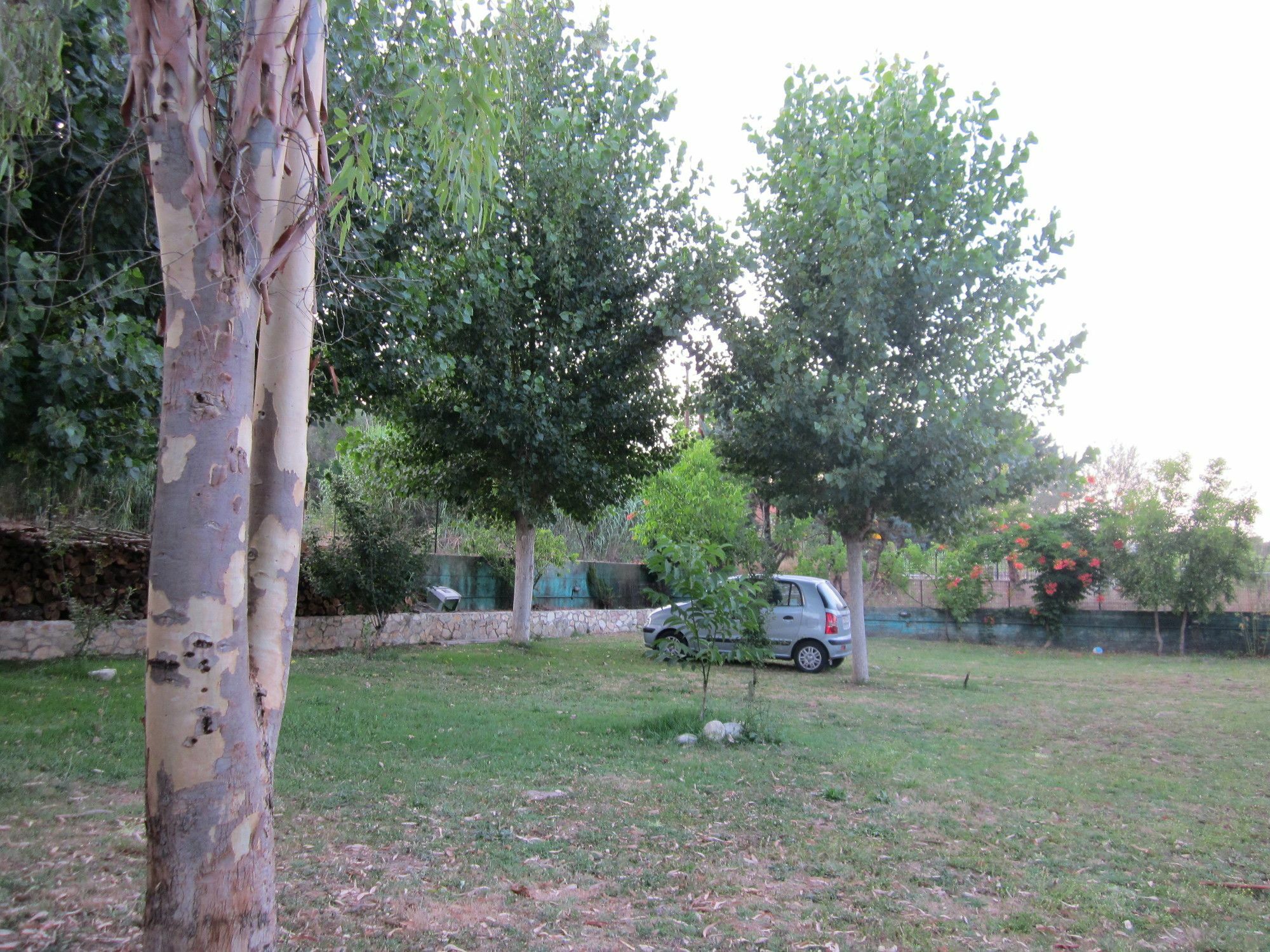 Aparthotel Blue Dream