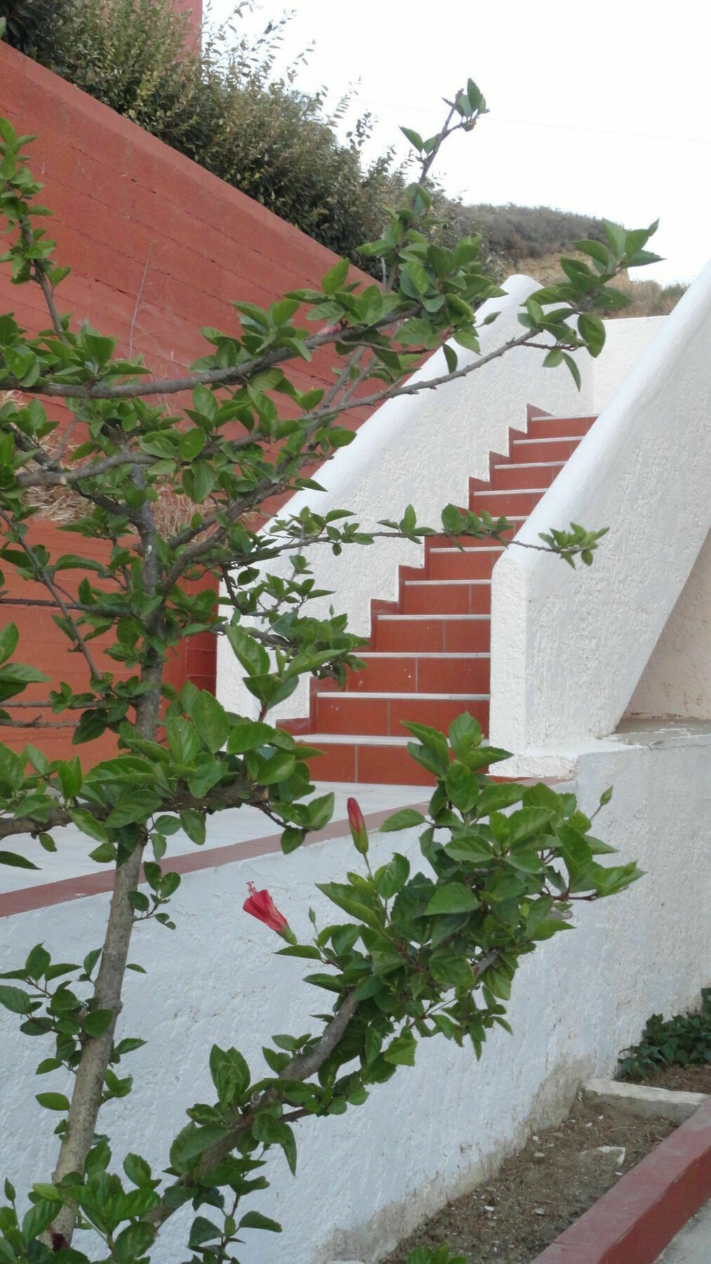 Santa Maria & Apartment Plakias