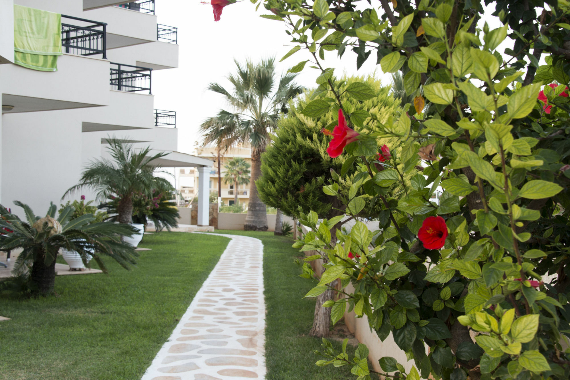Ammos Boutique Apartments & Suites