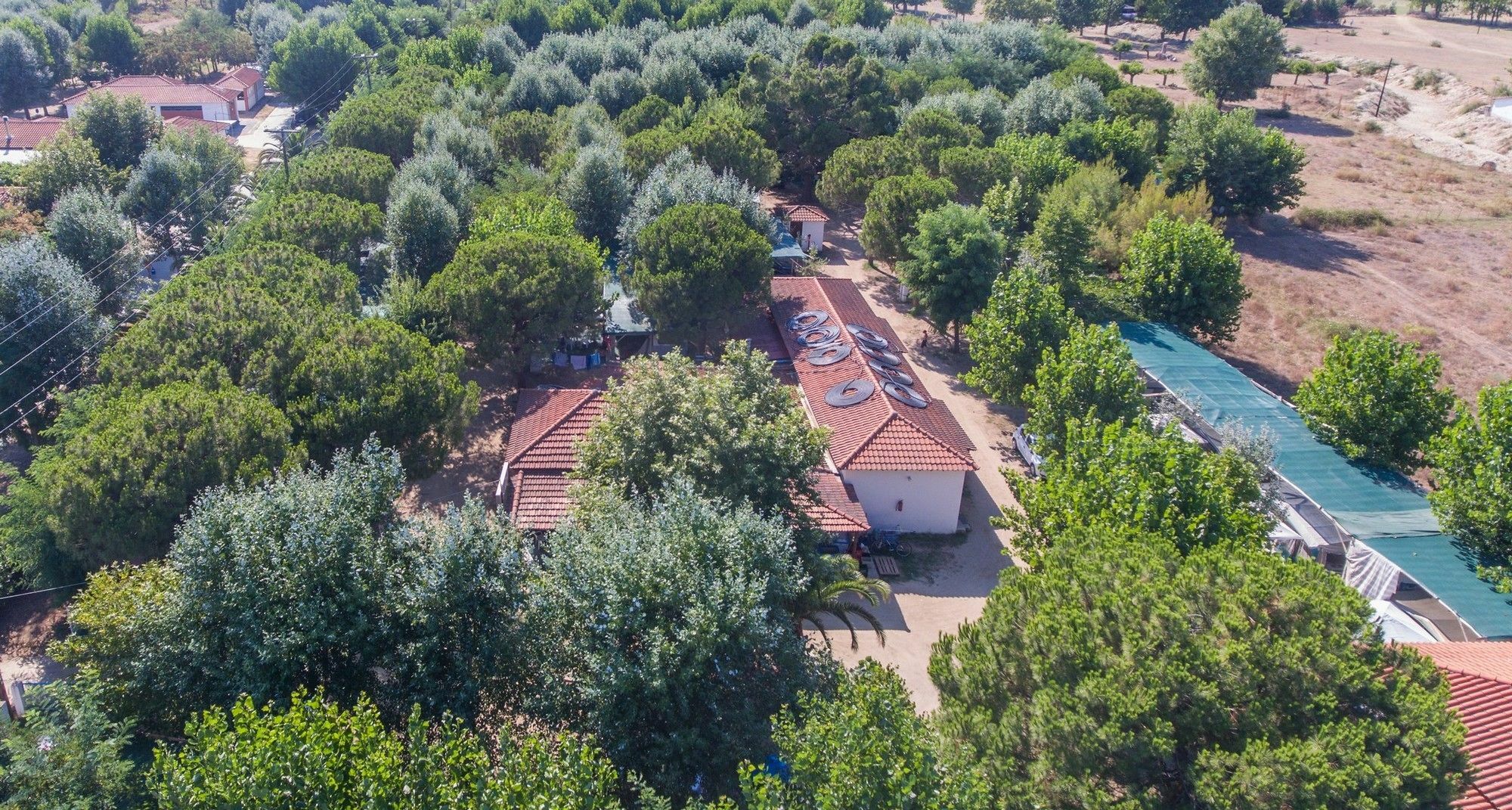 Campsite Pitsoni Sykia Chalkidikis