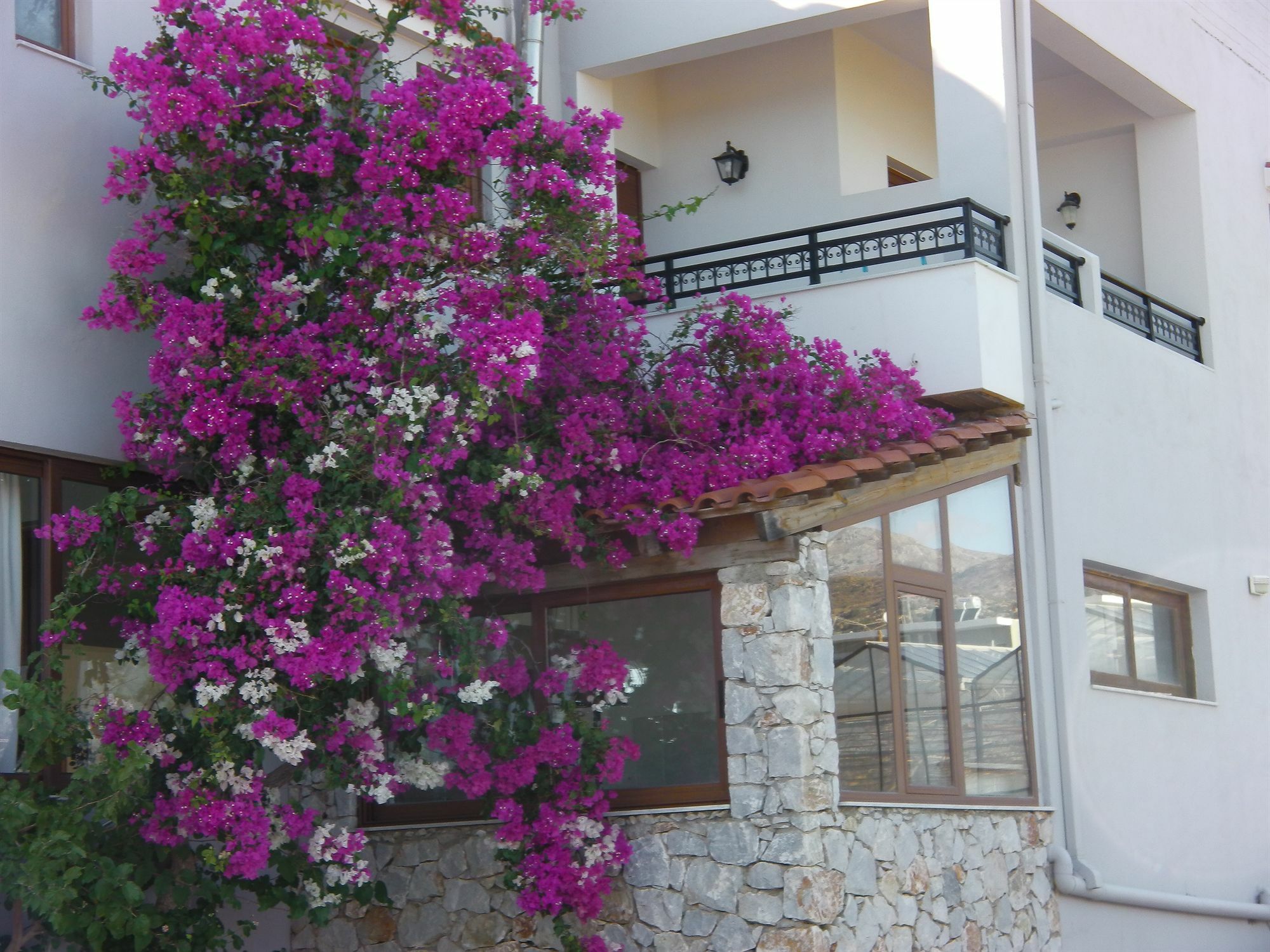 Iris And Gialos (Crete)