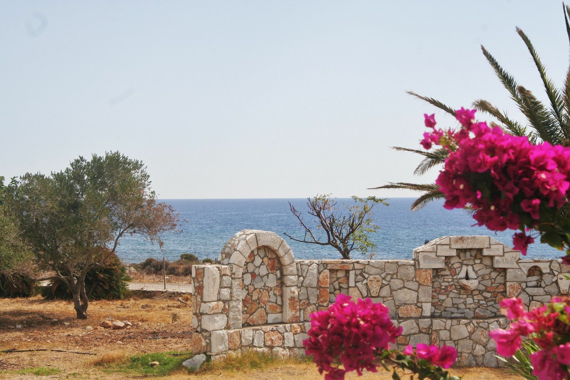 Iris And 2* Gialos (Crete)