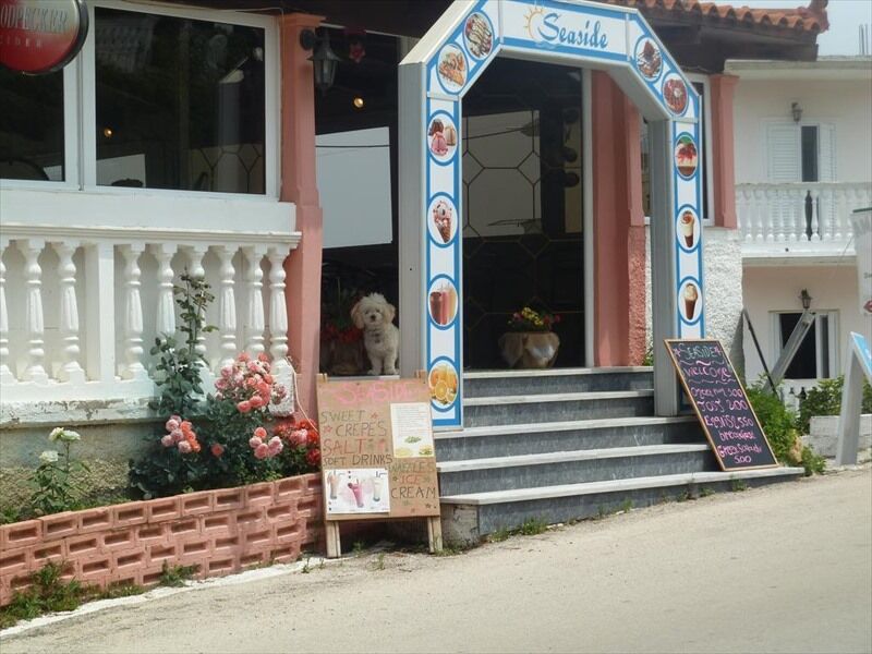 Amarylis Beachfront Studios