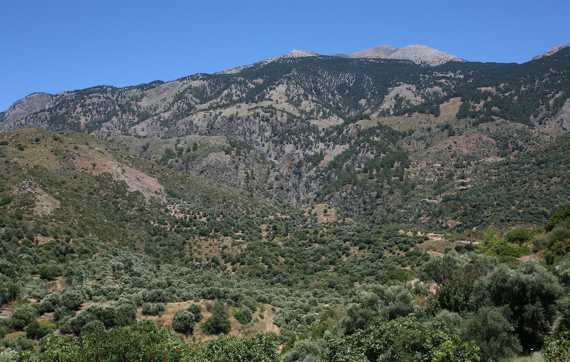 Monastery Estate