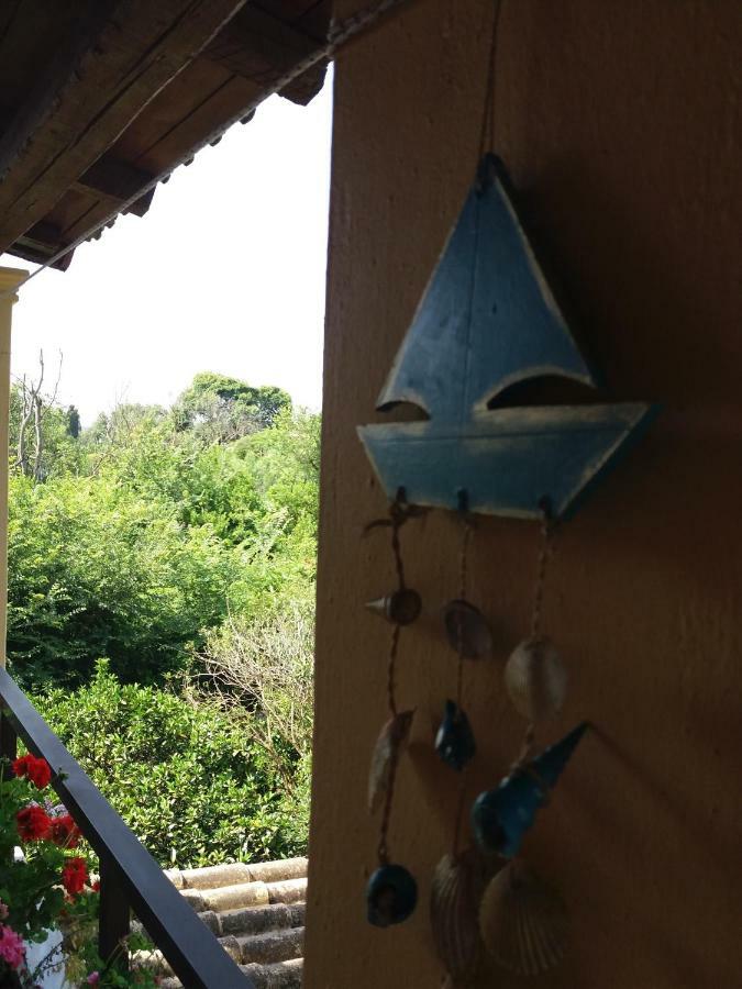 Alexandra Spingou Apartment Dassia (Corfu)