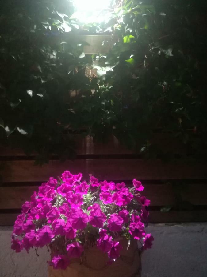 Sole E Mare Family Apartment