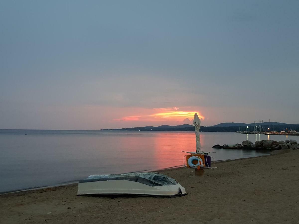 Mango Apartment Nikiti (Sithonia)