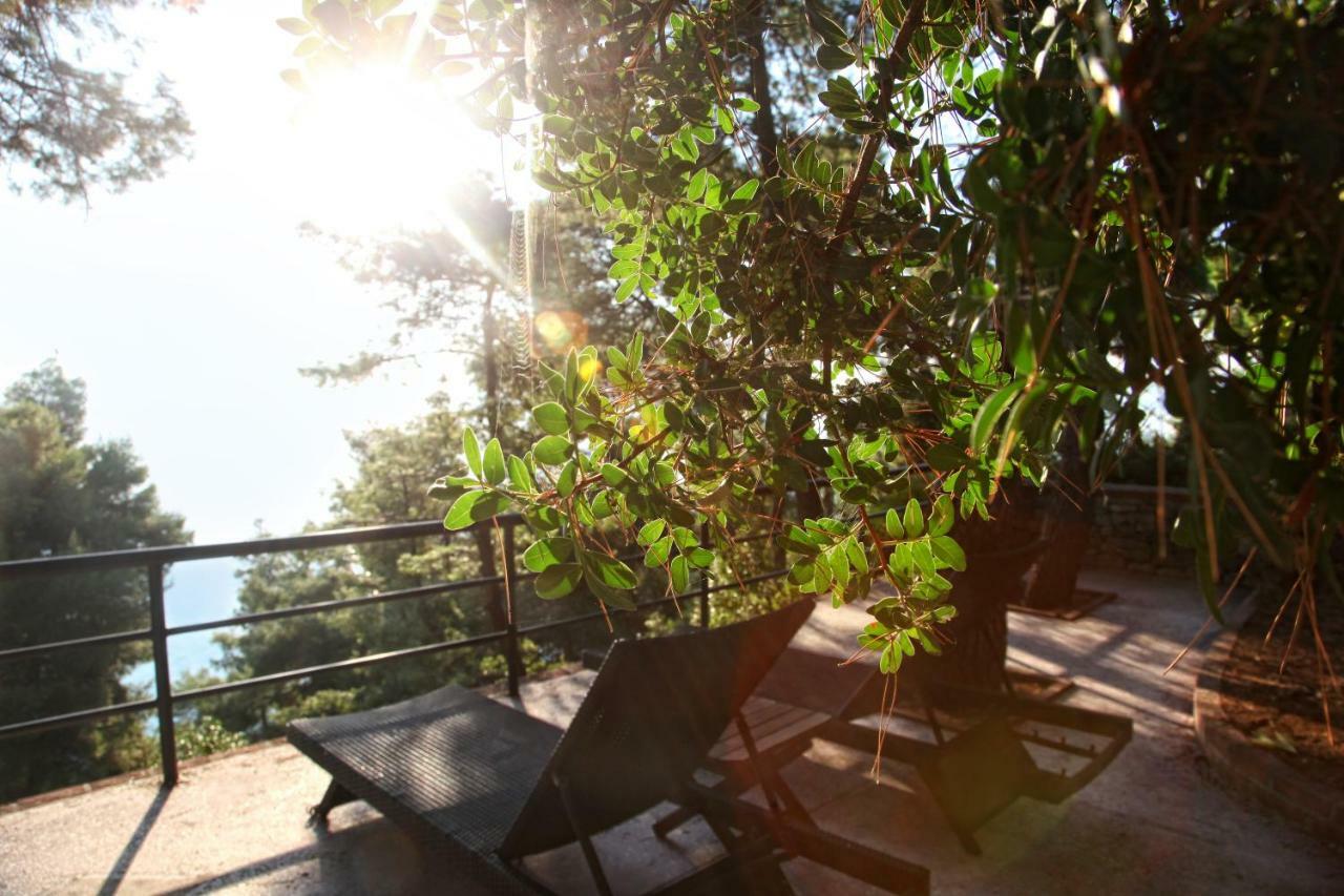 Hotel Nostos Hotel
