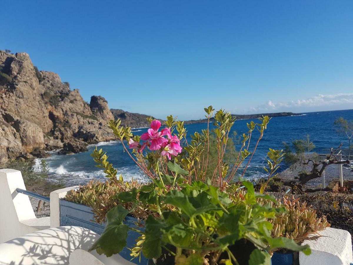 Taverna Akrogiali Hotel