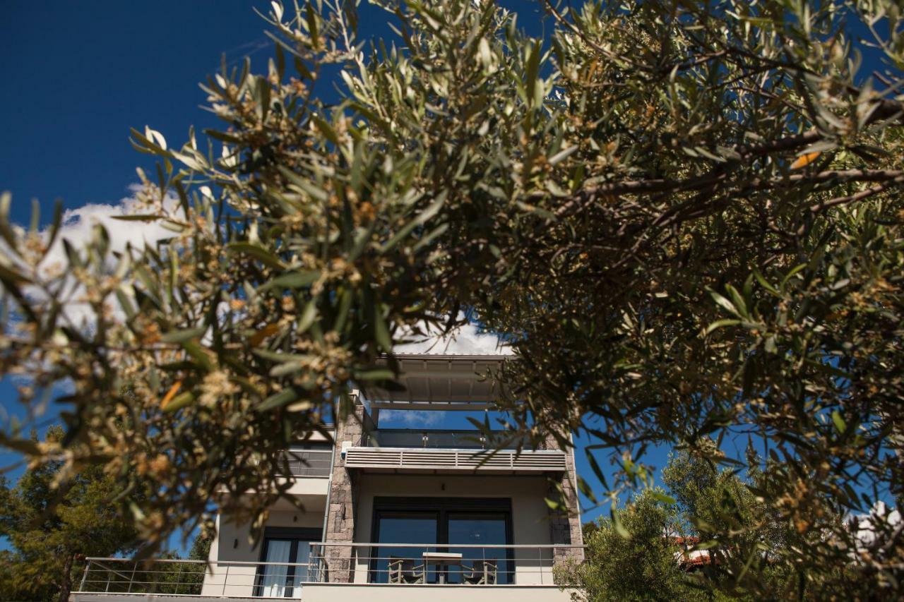 Olivia Estate With Private Swimming Pool