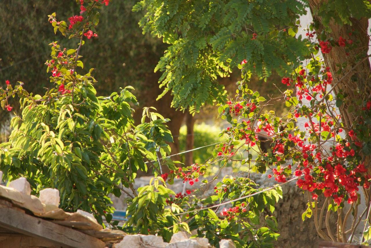 Villa Euphoria Retreat *