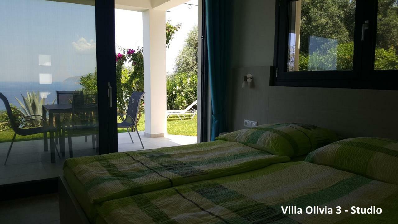 Olivia Apartment