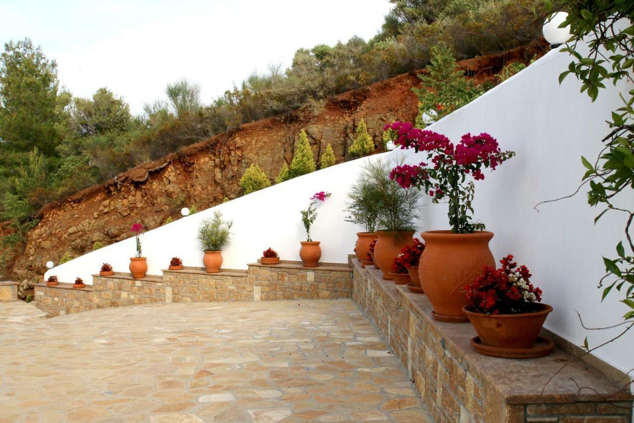 S&s Pura Vida Holiday home *