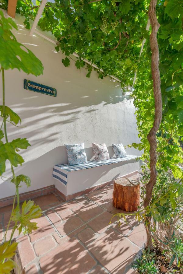 Sempreviva Holiday home *