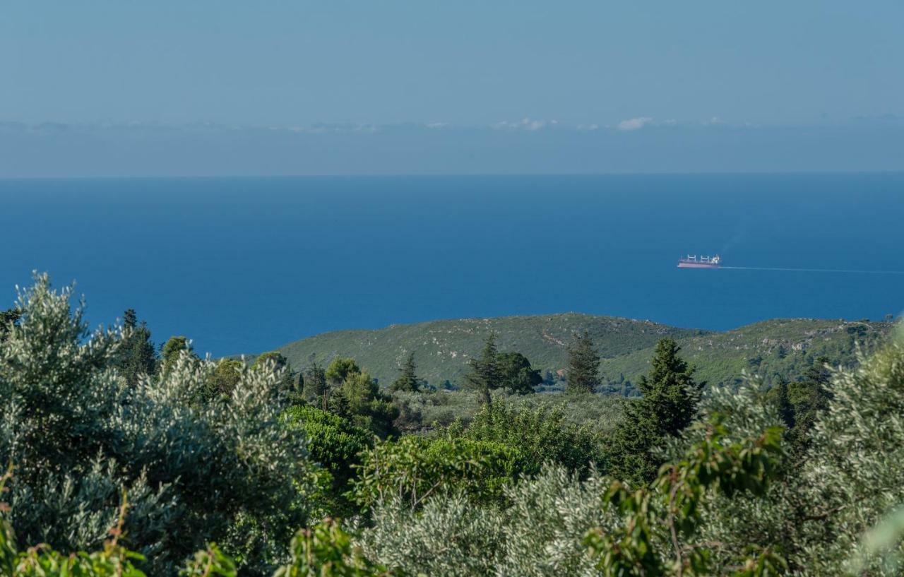 Sempreviva * Agios Leon