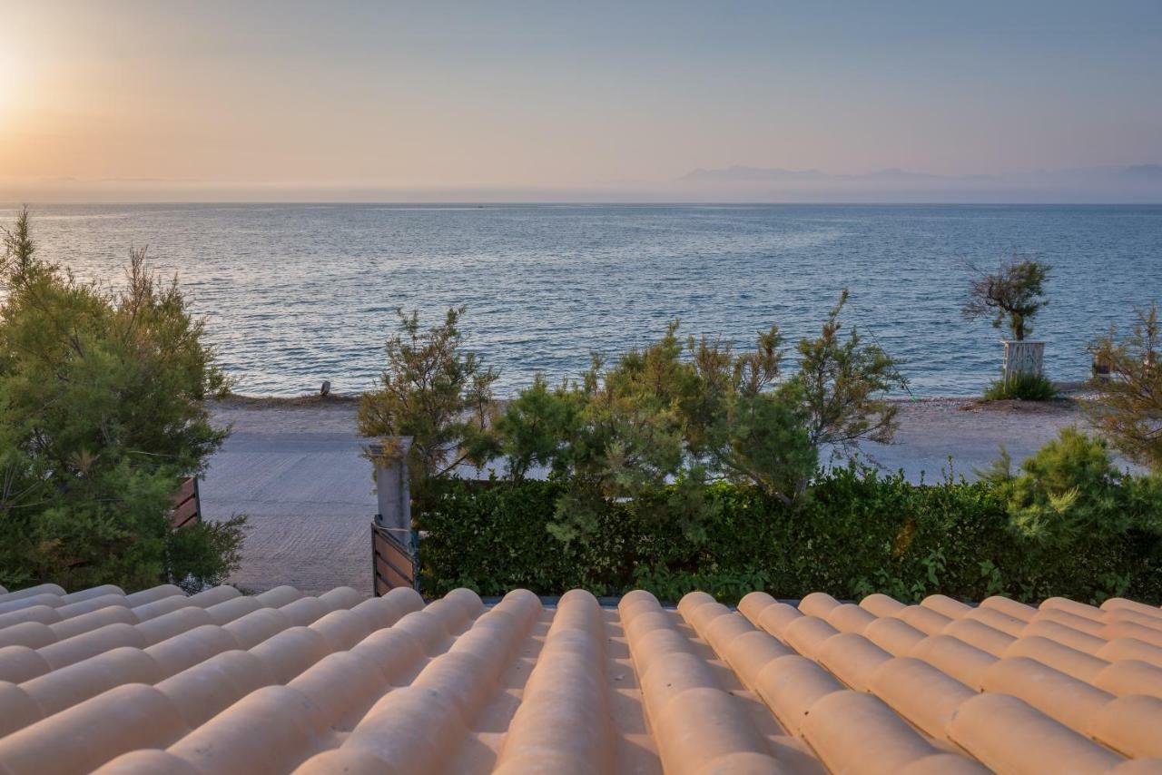 Tamaris House Acharavi (Corfu)