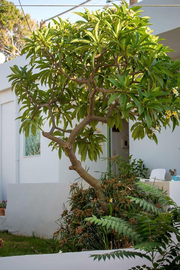 Chania Sea View Summer House Holiday home *