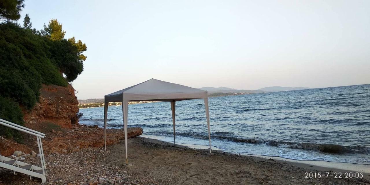 Holiday home Dia's *
