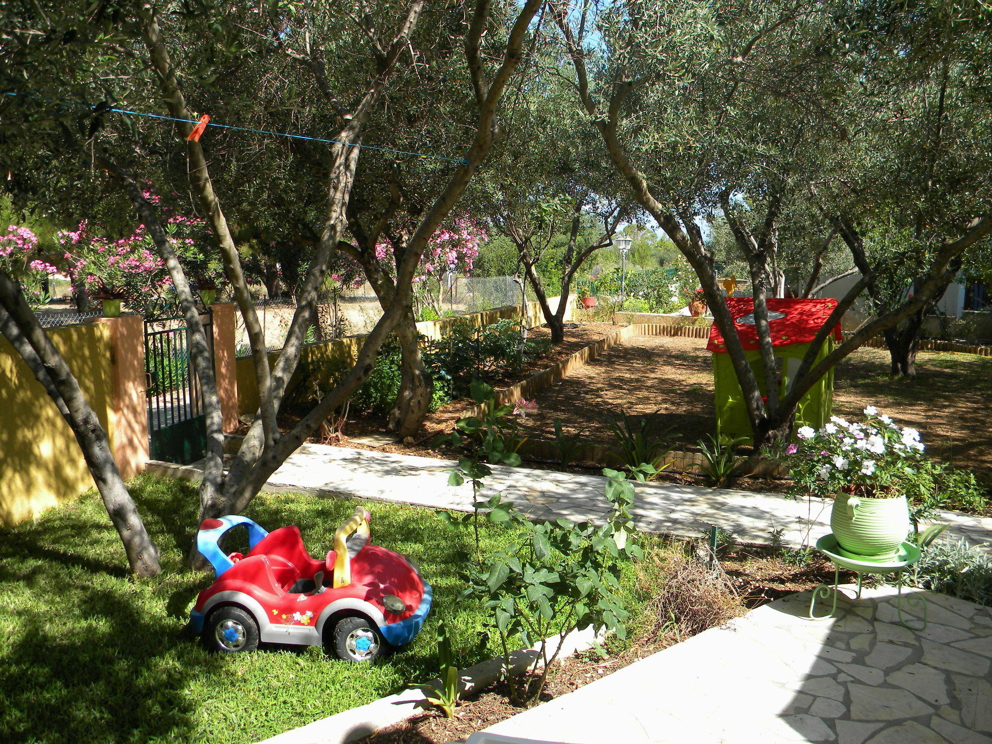 Victoria Lassi (Kefalonia)