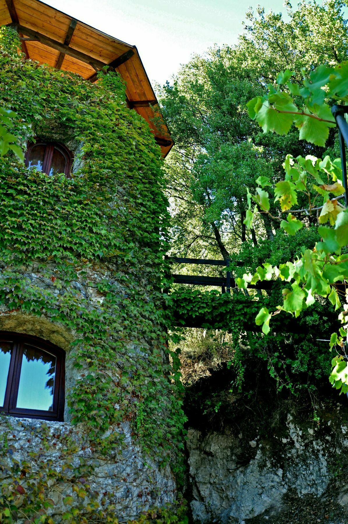 Melolia Villa
