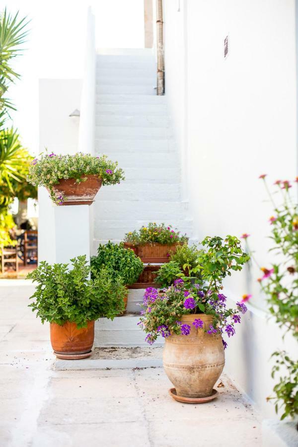 Holiday home Chania Sea View Summer House *