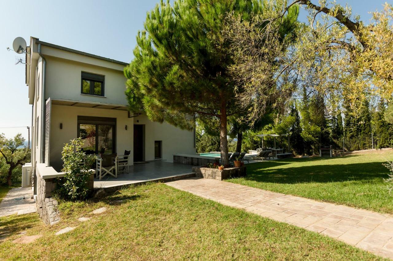 Olivia Estate With Private Swimming Pool Villa Elia Nikitis