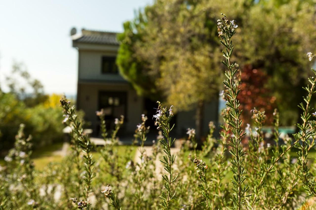 Olivia Estate With Private Swimming Pool * Elia Nikitis