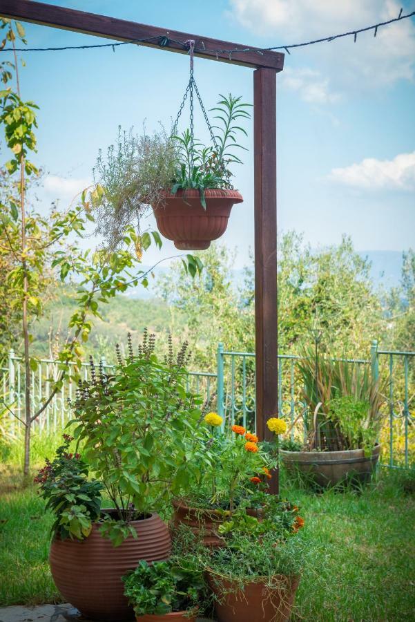 Country house Eythimia