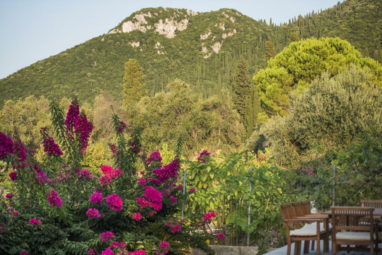 Mariza Corfu Kamara (Corfu)