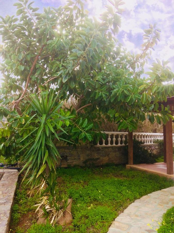 House Of Light Apartment Sitia (Crete)