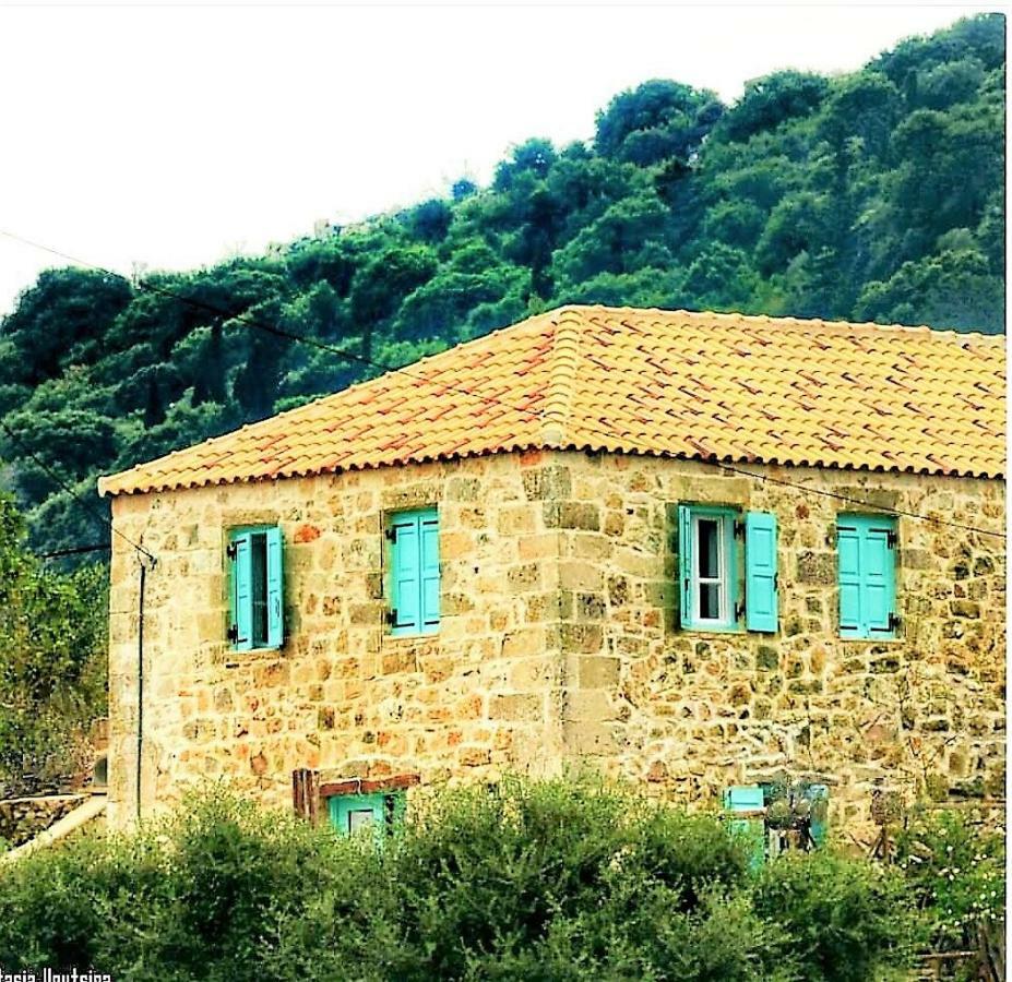 The House. Light & Stone. *
