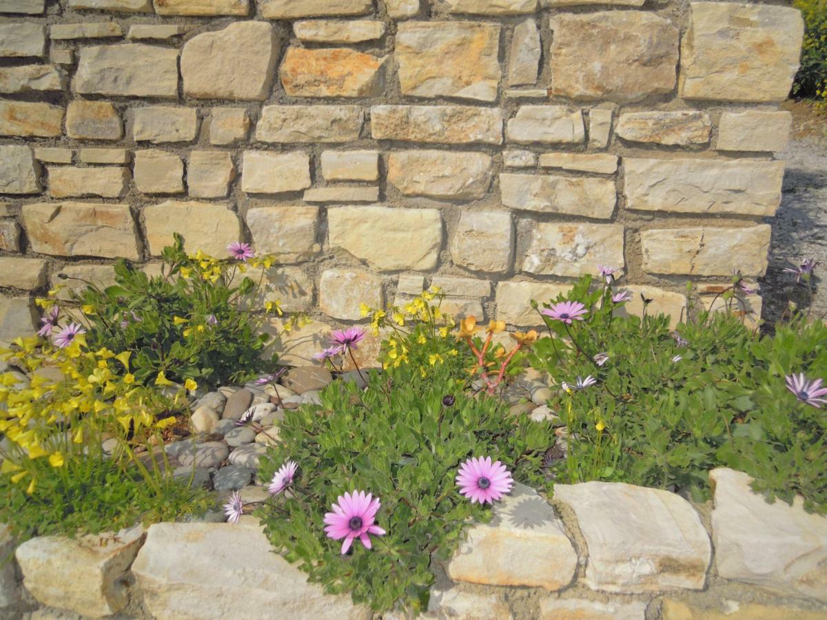 Petaloudes 2 Apartment Kamilari