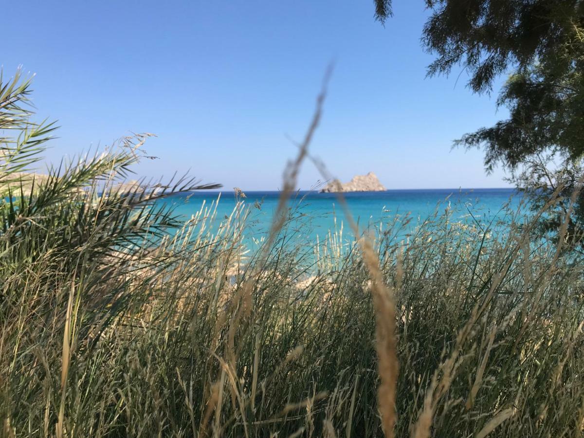 Natica Mare * Xerokampos (Crete)