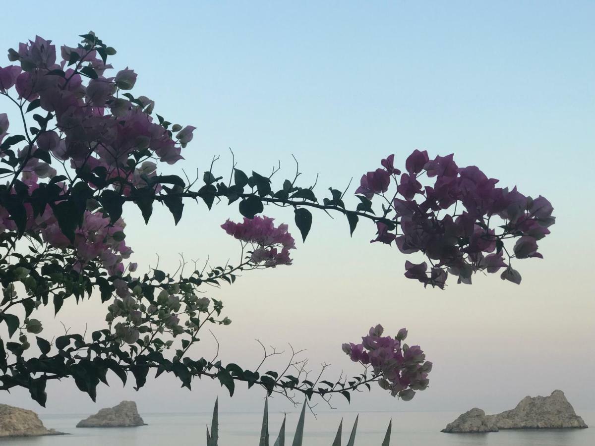 Natica Mare Holiday home