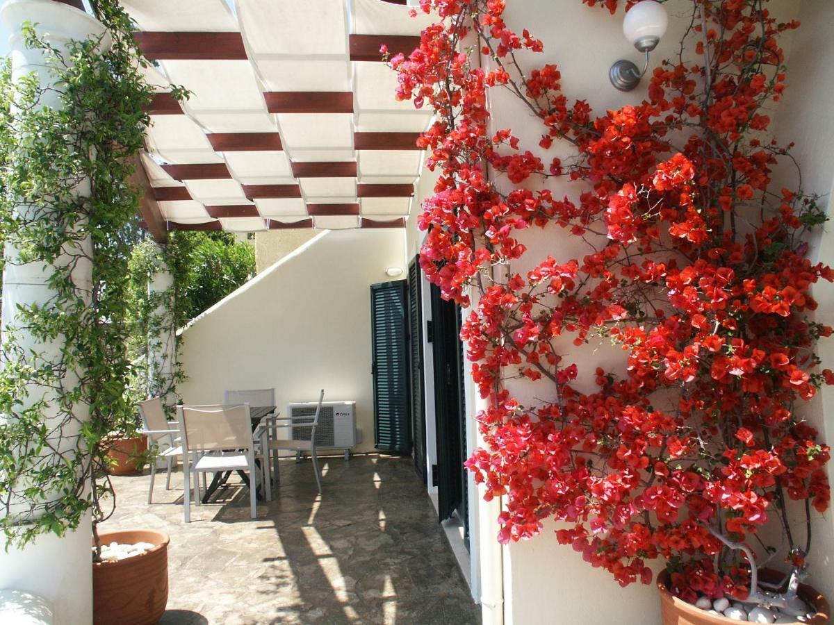 Elysium Corfu Apartment Paleokastritsa